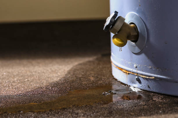 Best Flood damage cleanup  in Natchitoches, LA