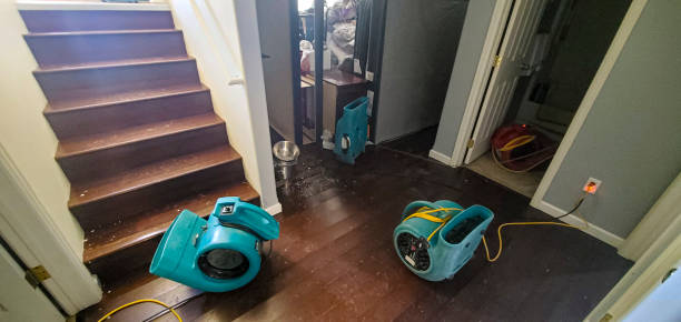 , LA Water damage restoration Company