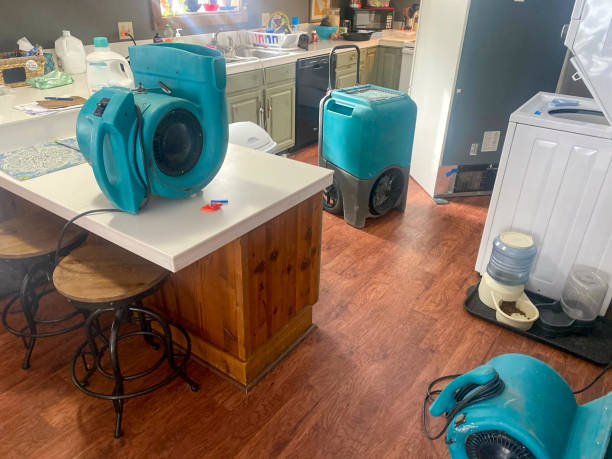 Best Fire Damage Restoration  in Natchitoches, LA