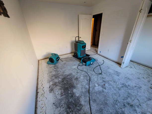 Best Flood restoration services  in Natchitoches, LA