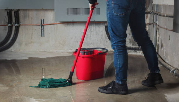 Best Sewage cleanup and water damage restoration  in Natchitoches, LA