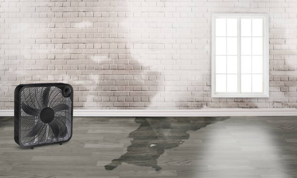 Best Emergency water damage restoration  in Natchitoches, LA