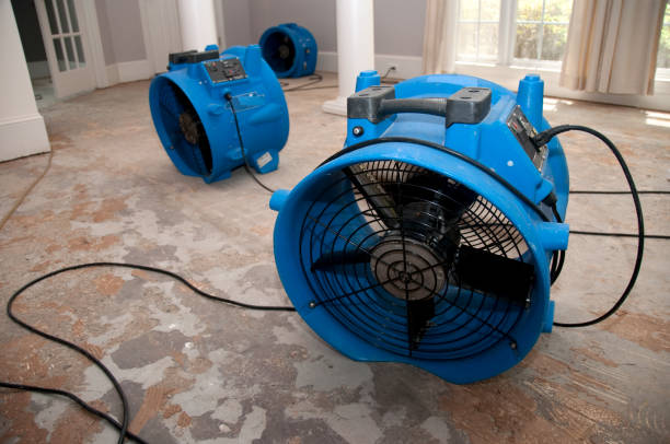 Best Water damage mitigation services  in Natchitoches, LA
