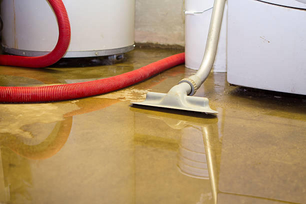 Best Professional water damage repair  in Natchitoches, LA