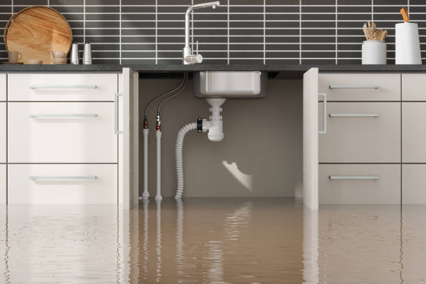 Best Water damage cleanup near me  in Natchitoches, LA
