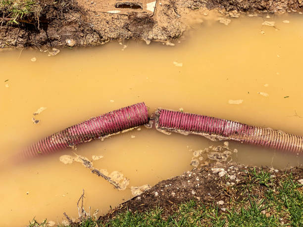 Best 24-hour water damage restoration  in Natchitoches, LA