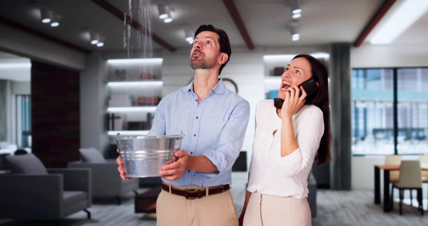 Best Carpet water damage restoration  in Natchitoches, LA