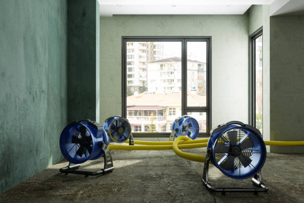Best Basement water damage restoration  in Natchitoches, LA