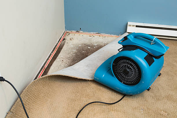 Best Water damage contractors near me  in Natchitoches, LA
